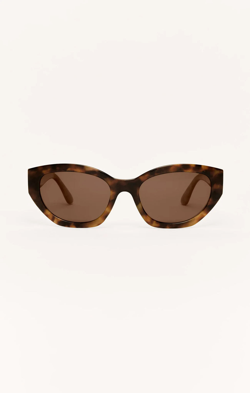 Brown Tortoise - Brown