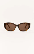 Brown Tortoise - Brown