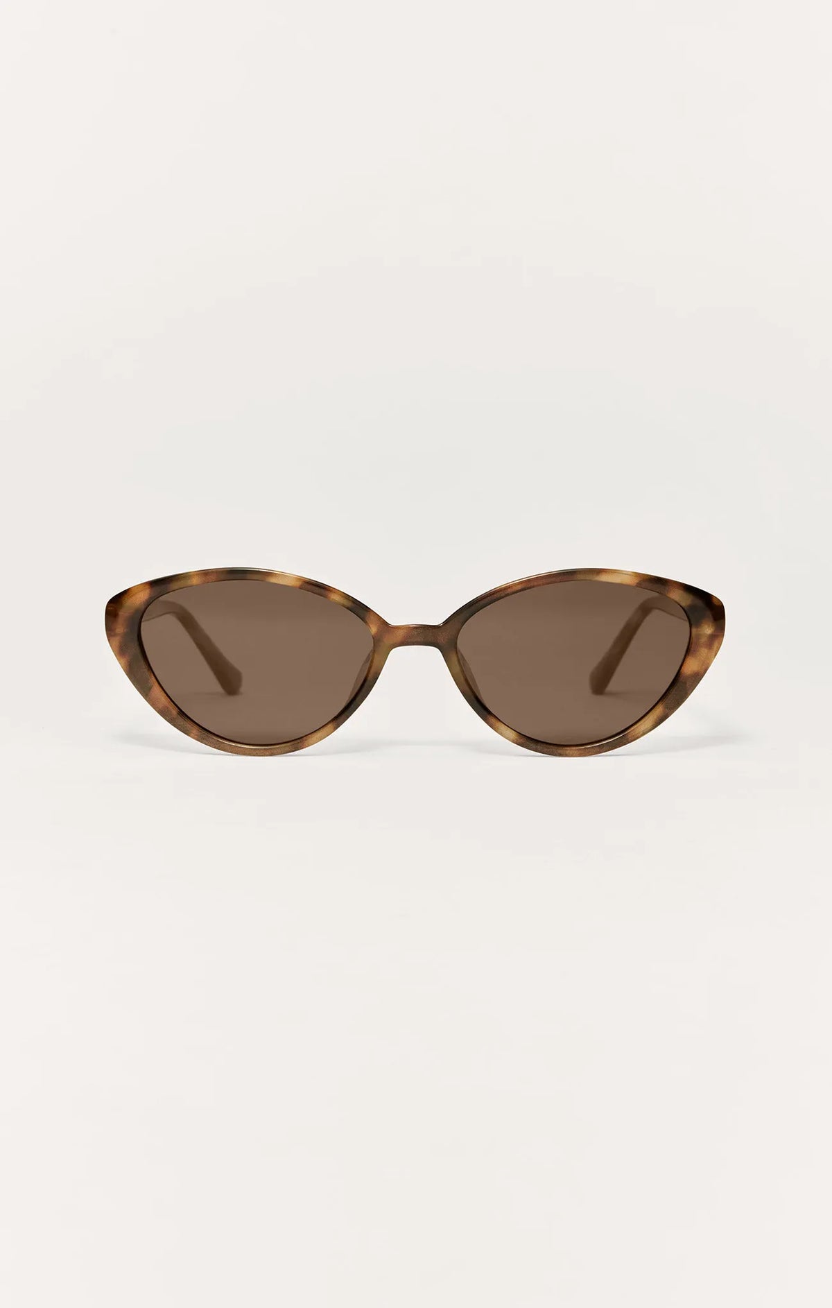Brown Tortoise - Brown