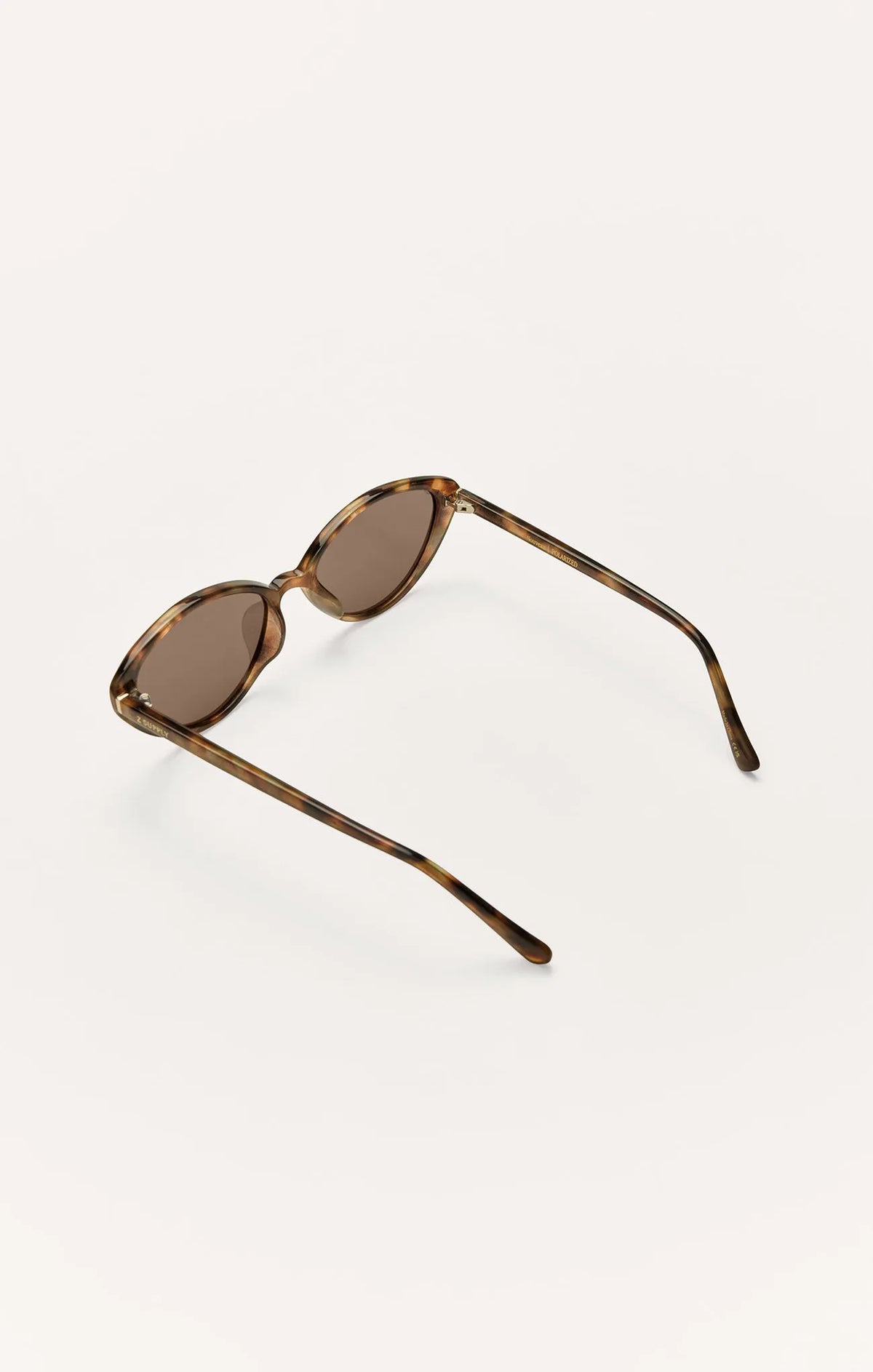 Brown Tortoise - Brown