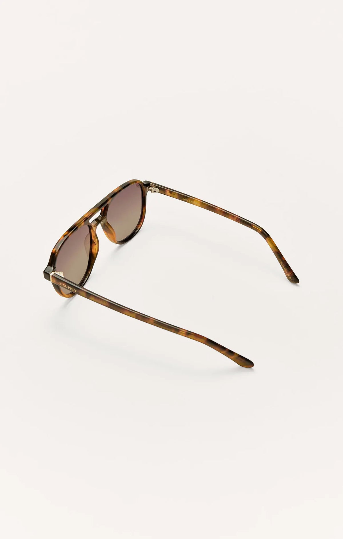 Brown Tortoise - Gradient