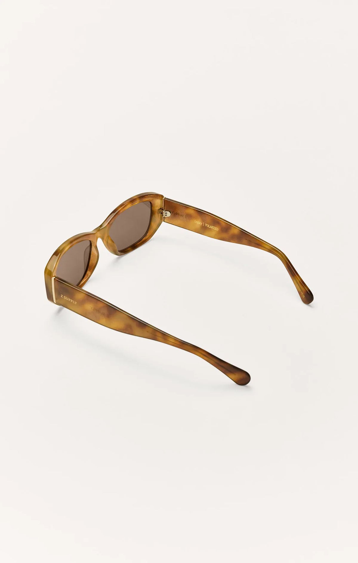 Brown Tortoise - Brown