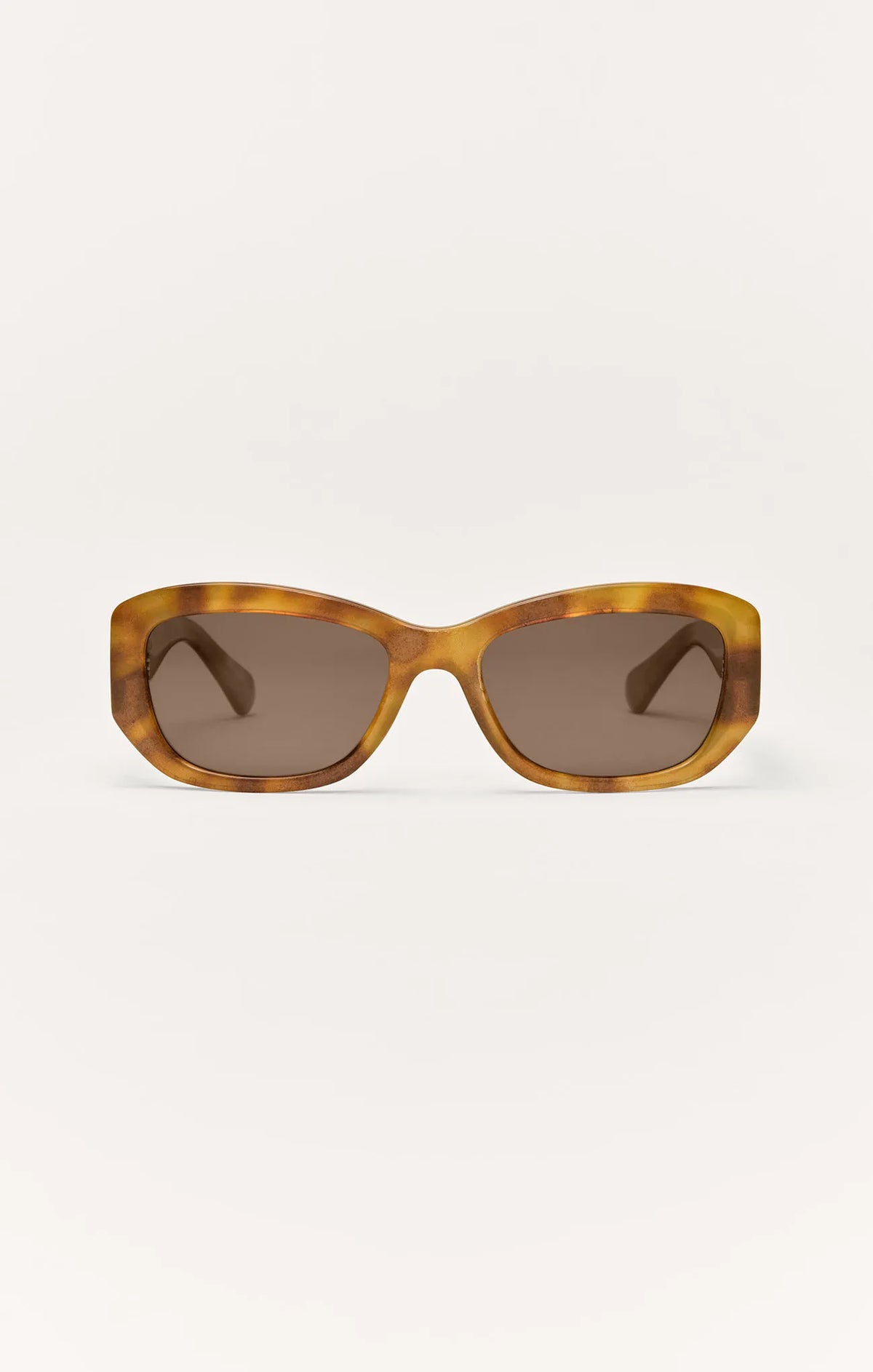Brown Tortoise - Brown