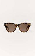 Brown Tortoise - Brown