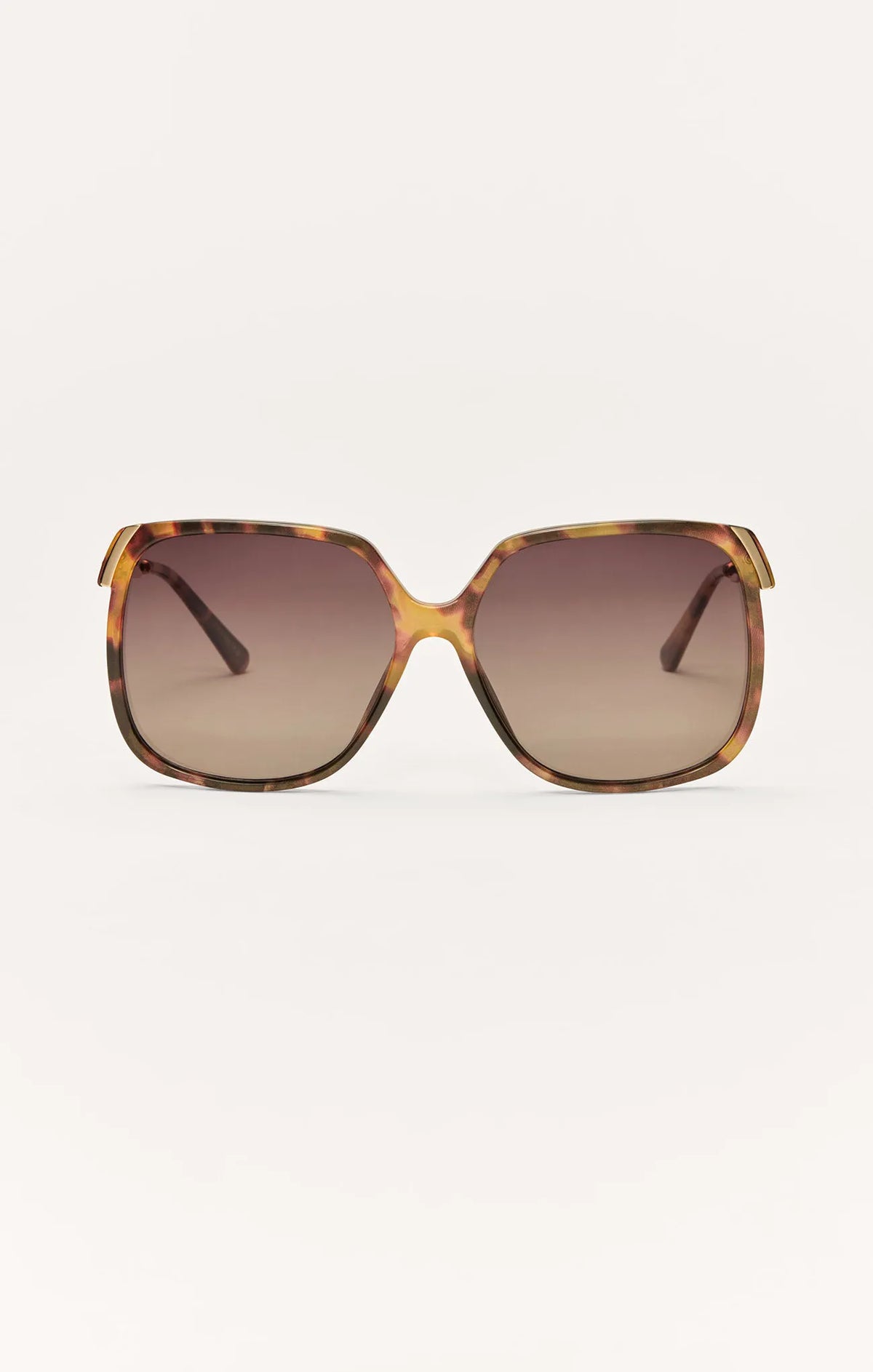 Brown Tortoise - Gradient