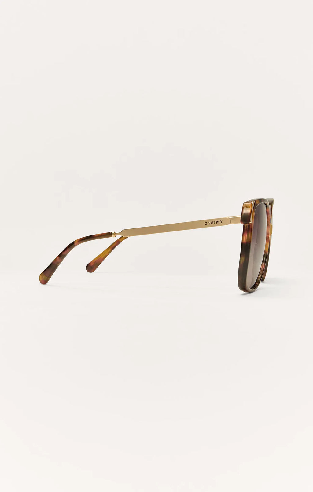 Brown Tortoise - Gradient