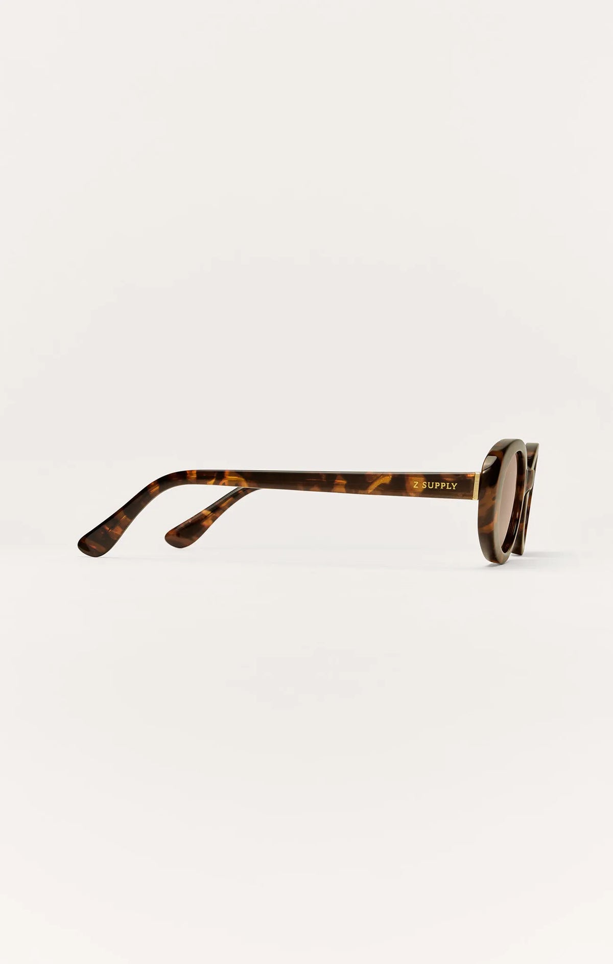 Brown Tortoise - Brown