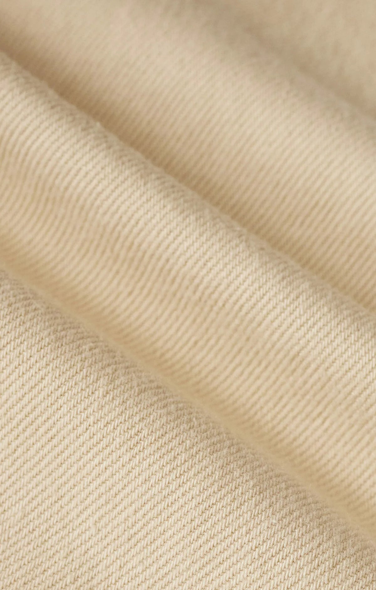 Parchment